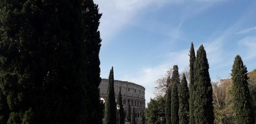 Chiara Stella image 11