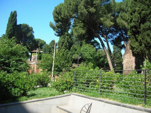 Chiara Stella image 21