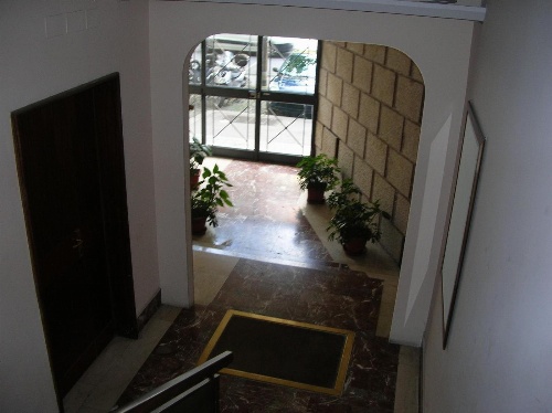 Chiara Stella image 4